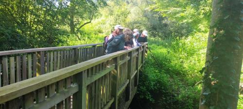 2024-07-08-Hauterive02