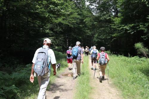2024-07-16-Bellenaves02