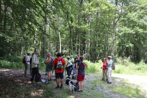 2024-07-16-Bellenaves03