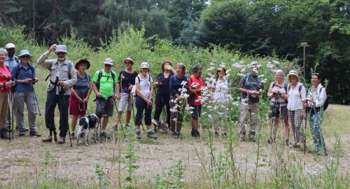 2024-07-16-Bellenaves05
