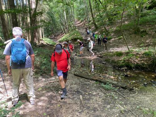 2024-07-16-Bellenaves10