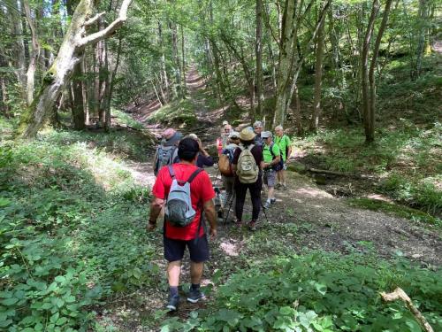 2024-07-16-Bellenaves12