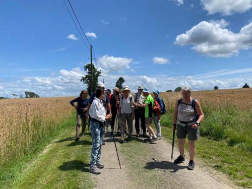 2024-07-16-Bellenaves15