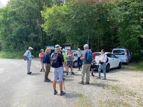 2024-07-16-Bellenaves19