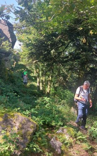 2024-07-16-Lachaux12