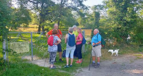 2024-07-29-St-Remy01 (1)