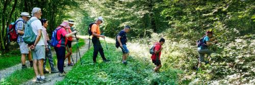 2024-08-06-Vendat09 (1)