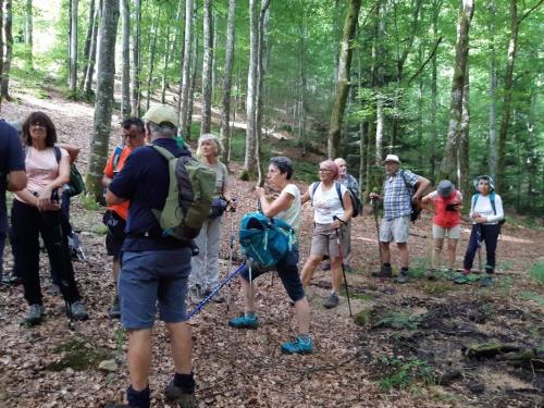 2024-08-08-Lachabanne03