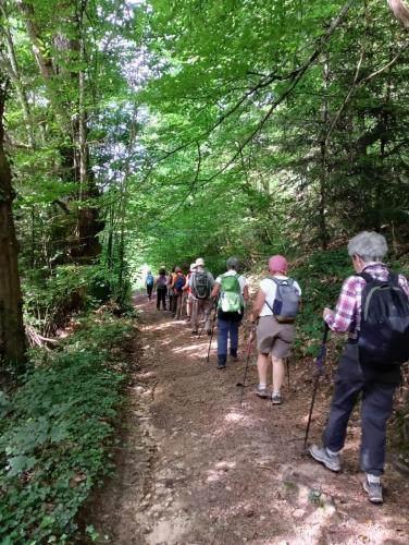 2024-08-08-Lachabanne14