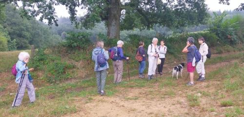 2024-08-15-Busset01