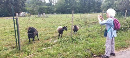 2024-08-15-Busset04