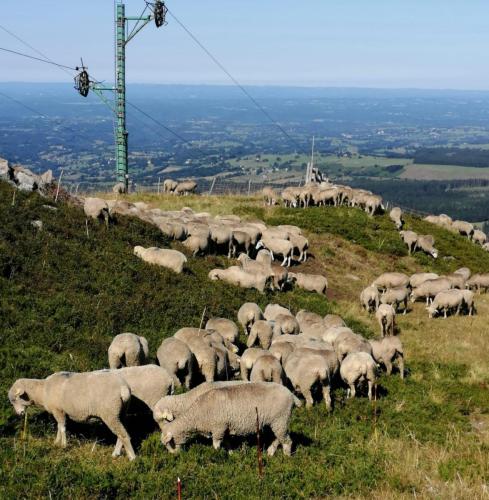 2024-08-27-Sancy06