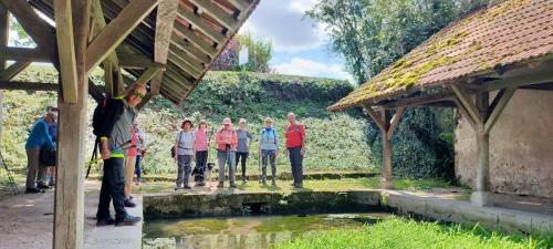 2024-09-10-Montaigu05