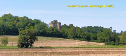 2024-09-10-Montaigu13