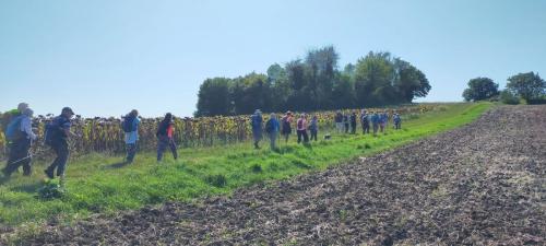 2024-09-10-Montaigu14