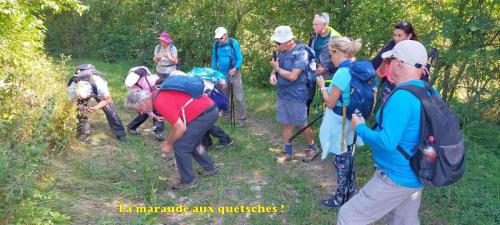 2024-09-10-Montaigu15