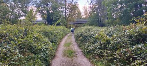 2024-09-13-Canoe02