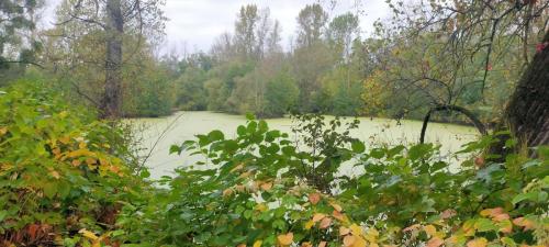 2024-10-07-Hauterive08