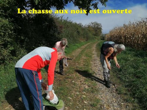 2024-10-08-Villeneuve06