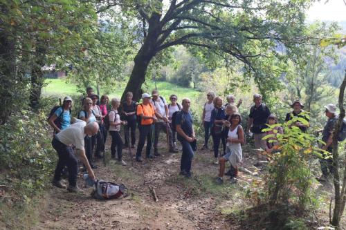 2024-10-15-Lachaux11