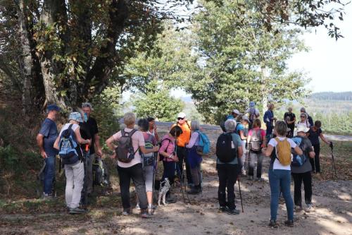 2024-10-15-Lachaux16