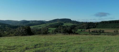 2024-10-31-LeBreuil12