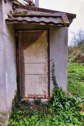 2024-11-07-Brout06