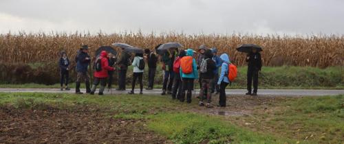2024-11-12-Seuillet05 (1)