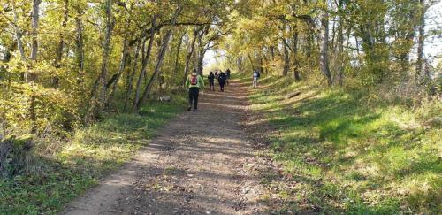 2024-11-14-Begues02