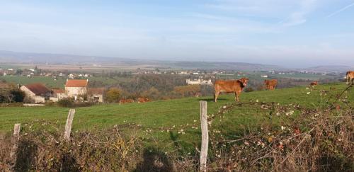2024-11-14-Begues05