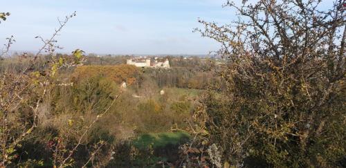 2024-11-14-Begues06
