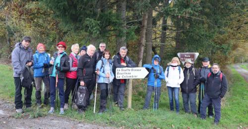 2024-11-19-Sorbier01