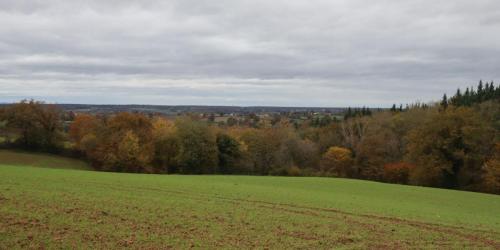 2024-11-19-Sorbier04