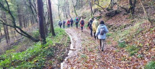 2024-11-21-Molles09