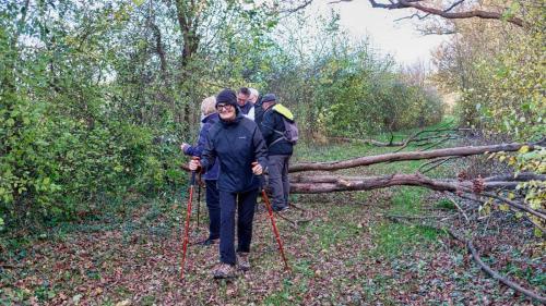 2024-11-25-Seuillet06