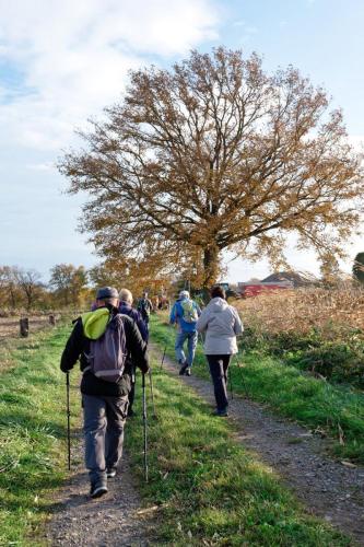 2024-11-25-Seuillet09