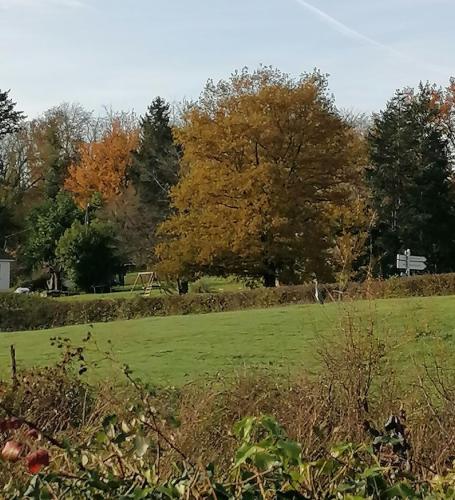 2024-11-26-Ussel16