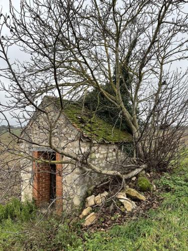 2024-12-10-Ebreuil08