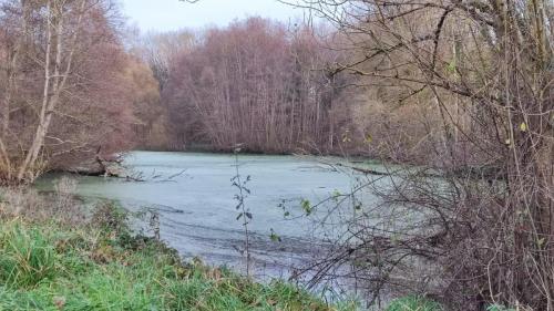 2024-12-17-PuyGuillaume03