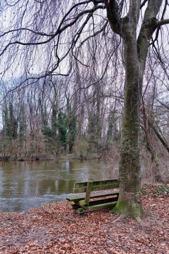 2025-01-09-StPourcain10