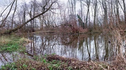2025-01-09-StPourcain17