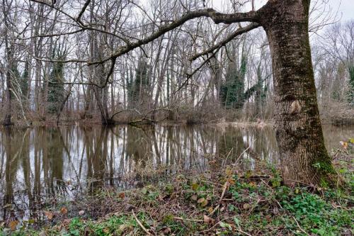 2025-01-09-StPourcain18