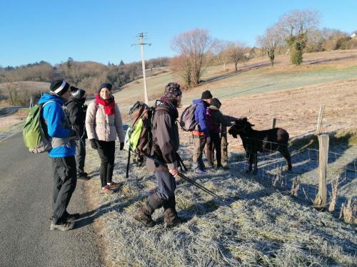 2025-01-14-Naves08 (1)