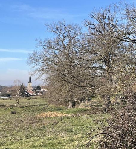 2025-01-21-Chavroches01