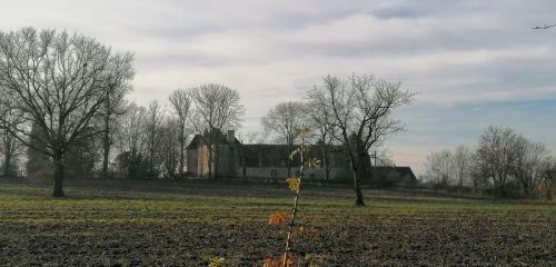 2025-01-21-Chavroches06