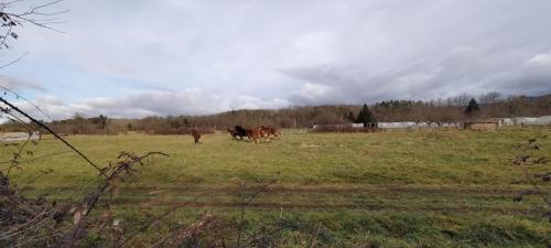 2025-01-30-Paslieres08