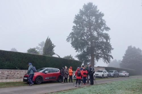 2025-02-03-StDidier01