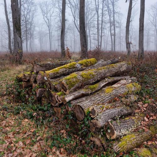 2025-02-03-StDidier16