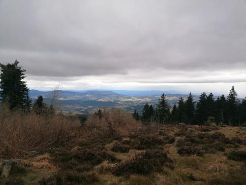 2025-02-11-Ferrieres11