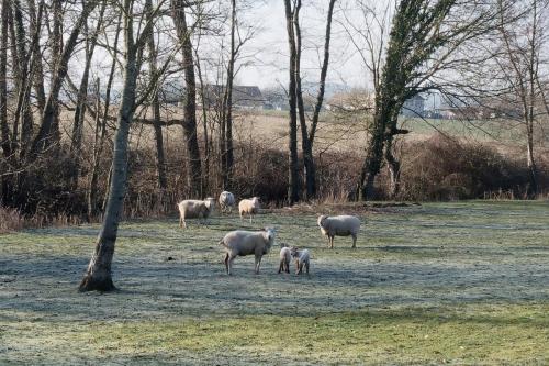 2025-02-17-Seuillet04